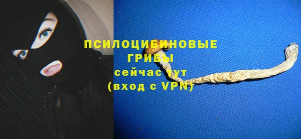 spice Арсеньев