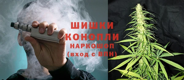 spice Арсеньев