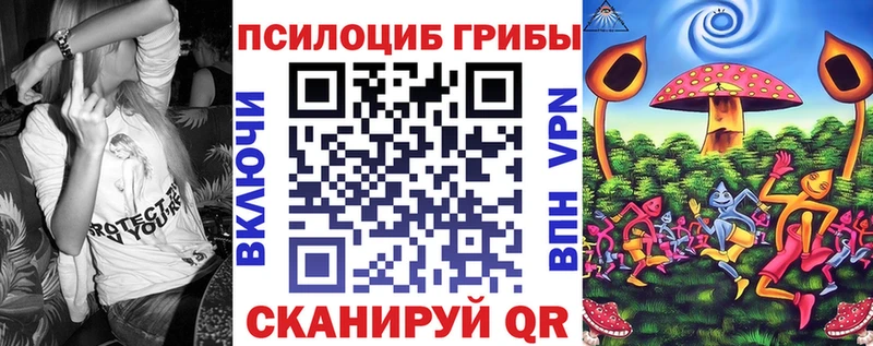 Псилоцибиновые грибы Cubensis  Константиновск 